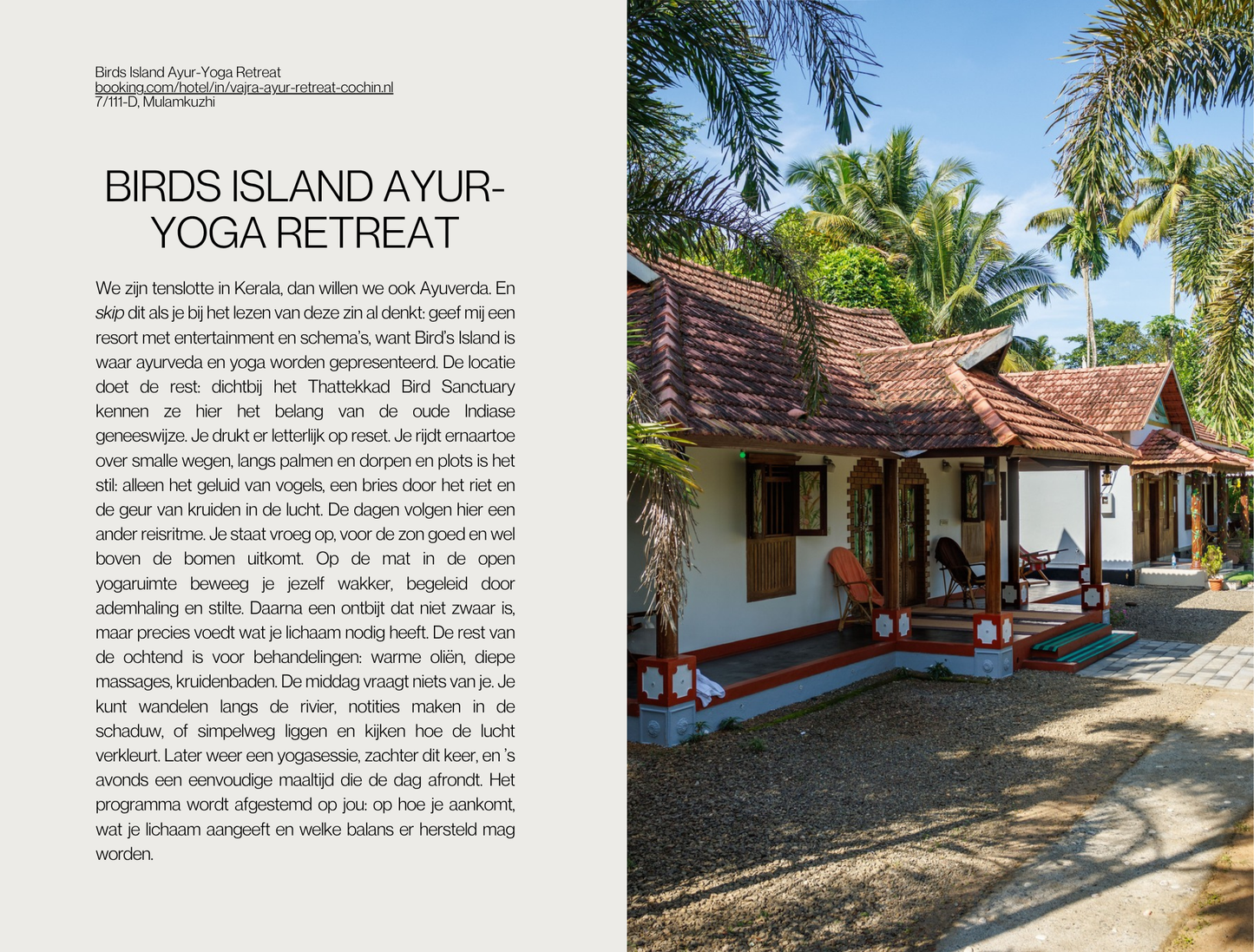 Travel Guide Kochi (India)