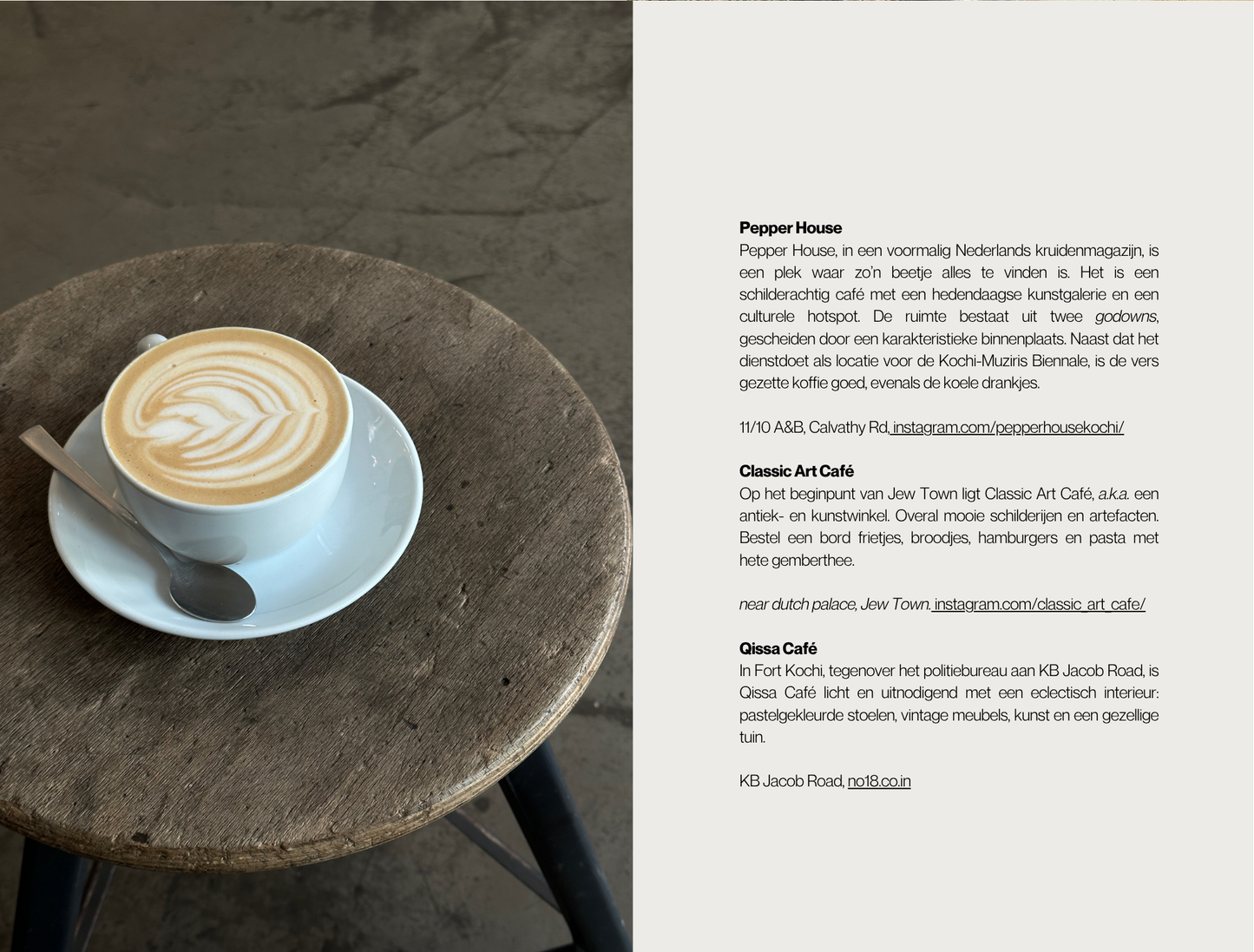 Travel Guide Kochi (India)