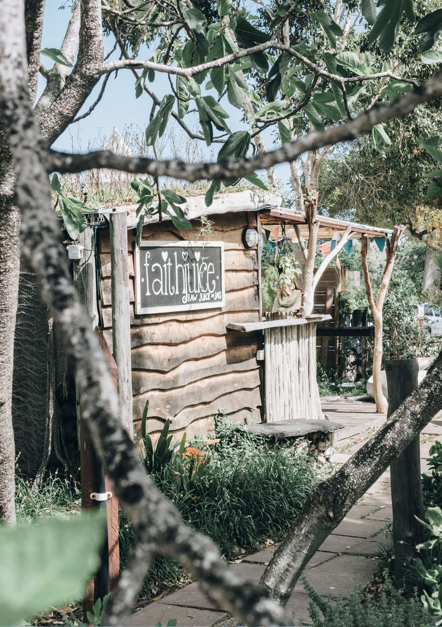 Cool Cape Town XXL 2026 | SURROUNDINGS | E-GUIDE | NEDERLANDSE VERSIE