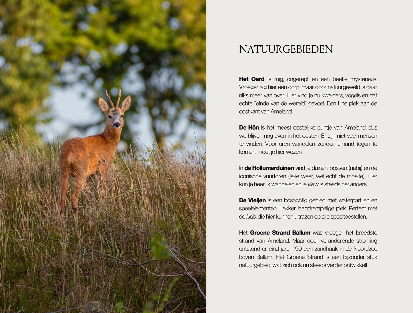 Ameland Guide